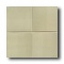 American Olean Cache 6 X 6 Matte Moss Tile  and  Stone