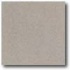 Daltile Vitrestone Select 12 X 12 Graystone Tile & Stone
