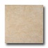 Laufen Kalahari 8 X 12 Alabaster Tile & Stone