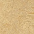 Forbo Marmoleum Real 1/10 Caribbean Vinyl Flooring