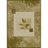Carpet Art Deco Natural 8 X 10 Hantas/wisdom Area Rugs