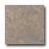 Florida Tile Creekside 12 X 12 Russet Brown Tile & Stone