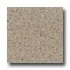 Santa Regina Architectural 24 X 24 (natural) Sand Dollar Terrazz