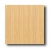 Teragren Craftsman Vertical Natural Bamboo Floorin