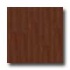 Metroflor Tru-woods Collection - Handstained Maple Sakura Vinyl