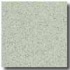 Armstrong Possibilities Petit Point Emerald Frost Vinyl Flooring