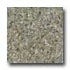 Santa Regina Architectural 24 X 24 (polished) Evergreen Terrazzo