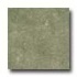 Cinca Limestone 13 X 13 Moss Tile & Stone