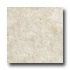 Emser Tile Caracas 20 X 20 Alabaster Tile & Stone