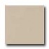 Daltile Modern Dimensions 4 1/4 X 8 1/2 Gloss Urban Putty Tile &