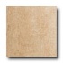 Laufen Palace 12 X 24 Cream Tile & Stone