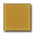 Emser Tile Lucente Empire Gold Tile & Stone