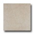 Emser Tile Roma 20 X 20 Crema Tile & Stone