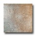 Mohawk Quarry Stone 19 X 19 Forest Tile & Stone