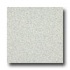 Armstrong Medintech Tandem Inlaid Jasmine Vinyl Flooring