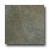 Ergon Tile Green Tech 12 X 12 Rectified Sage Tile & Stone