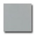 Daltile Keystones Permatones Mosaic 2 X 2 Desert Gray Tile & Sto