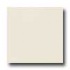 Daltile Matte 6 X 6 Biscuit Tile & Stone