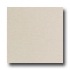 American Olean St Germain 12 X 24 Creme Tile & Stone