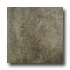 Nafco Kyrah Sepia Vinyl Flooring