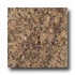 Daltile Granite 12 X 12 Giallo Veneziano Tile & Stone