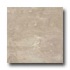 Ergon Tile Alabastro Evo 16 X 24 Polished Rectified Grigio Tile