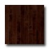 Hartco Sugar Creek Solid Maple Plank Cocoa Brown Hardwood Floori
