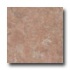 Nafco Elements 9 X 9 Cordoba Brown Vinyl Flooring