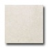 Caribe Stone Turkish Marble 8 X 8 Honed Botticino Tile & Stone
