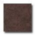 Ergon Tile Alabastro Evo 16 X 24 Polished Rectified Moka Tile &
