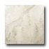 Caribe Stone Turkish Marble 12 X 12 Polished Cappuccino Tile & S