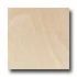 Daltile Era 24 X 24 Structured Mesos Tile & Stone