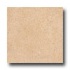 Ergon Tile Brera 12 X 12 Natural Finish Rectified Dorato Tile &