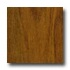 Tarkett New Frontiers Brazilian Chestnut Amaretto Laminate Floor