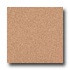 Armstrong Medintech Homogeneous Fired Clay Vinyl Flooring