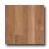 Quick-step Classic Collection 8mm Cameroon Acacia Laminate Floor