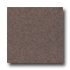 Armstrong Connection Corlon Bittersweet Vinyl Flooring