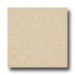 Armstrong Medintech Tandem Inlaid Brushed Sand Vinyl Flooring