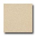 Armstrong Medintech Homogeneous Brushed Sand Vinyl Flooring
