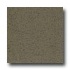Armstrong Excelon Stonetex Premium Leaf Green Vinyl Flooring