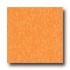 Armstrong Excelon Standard Rave Screamin Pumpkin Vinyl Flooring