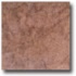 Mohawk Trapani 12 X 12 Noce Tile & Stone