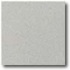Daltile Vitrestone Select 12 X 12 Gray Granite Tile & Stone