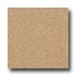 Armstrong Medintech Homogeneous Sandalwood Vinyl F