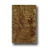 Hellenic Rug Imports, Inc. Rain Forest 4 X 6 Tropical Fern Honey