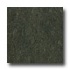 Armstrong Marmorette With Naturcote Celtic Green Vinyl Flooring
