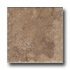 Geo Ceramiche Camelot 20 X 20 Noce Tile  and  Stone