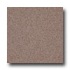 Armstrong Medintech Homogeneous Smoketree Brown Vi