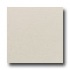 American Olean St Germain 12 X 24 Blanc Tile & Stone