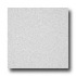 Armstrong Possibilities Petit Point Almond White Vinyl Flooring
